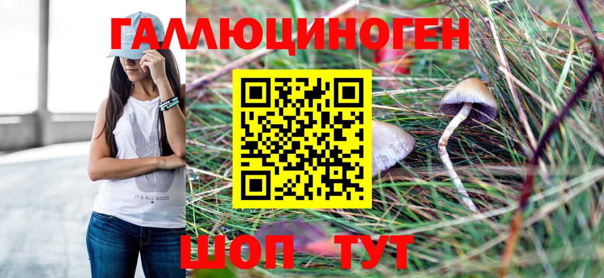 Псилоцибиновые грибы GOLDEN TEACHER Железногорск