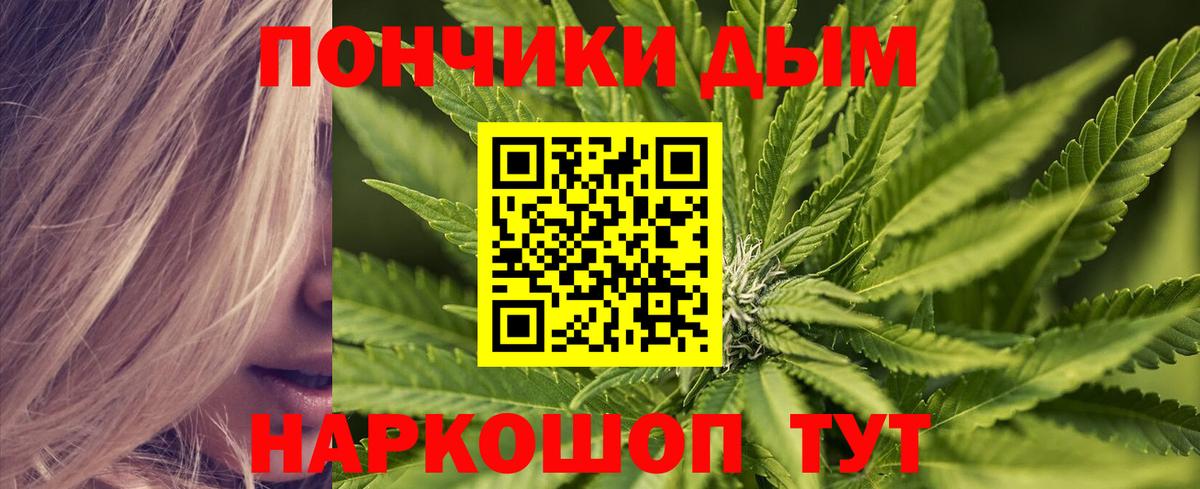 Шишки марихуана планчик  Шишки марихуана марихуана  Вход с VPN  Железногорск  Бошки Шишки план 